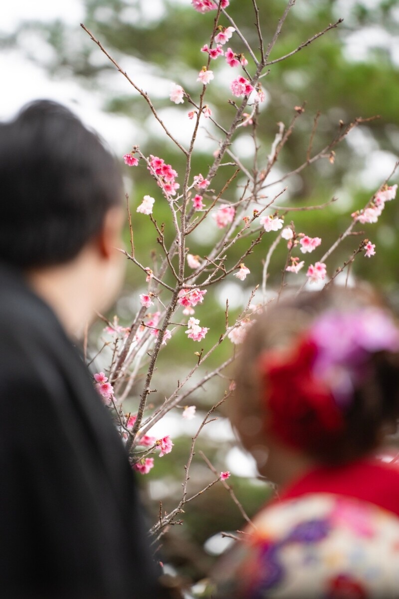 最後は・・・桜の木をメインに・・・