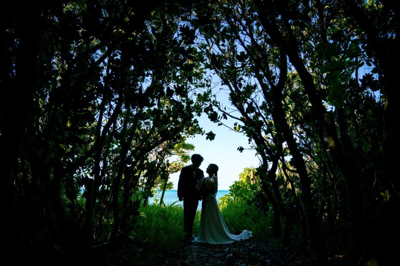 大自然の中で、シルエット