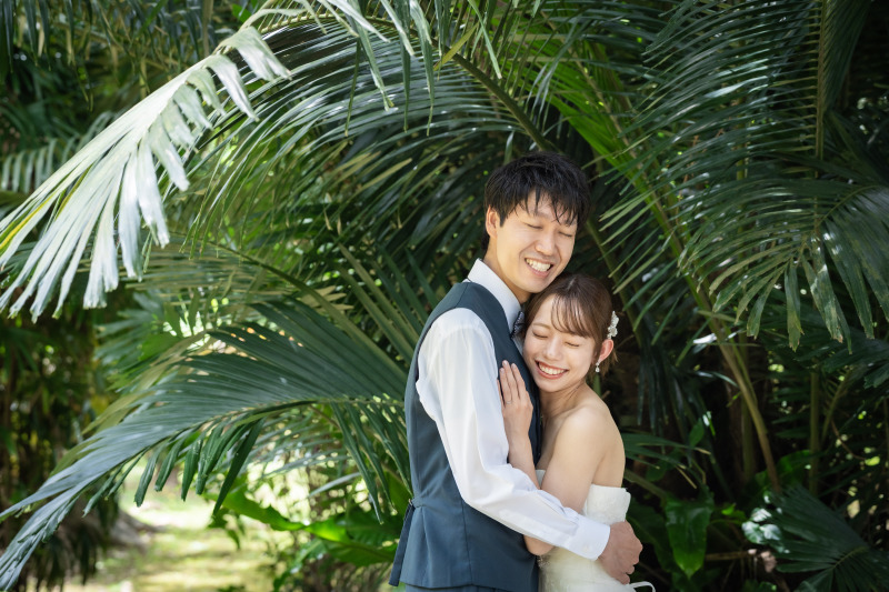 ソテツの木の下で・・・