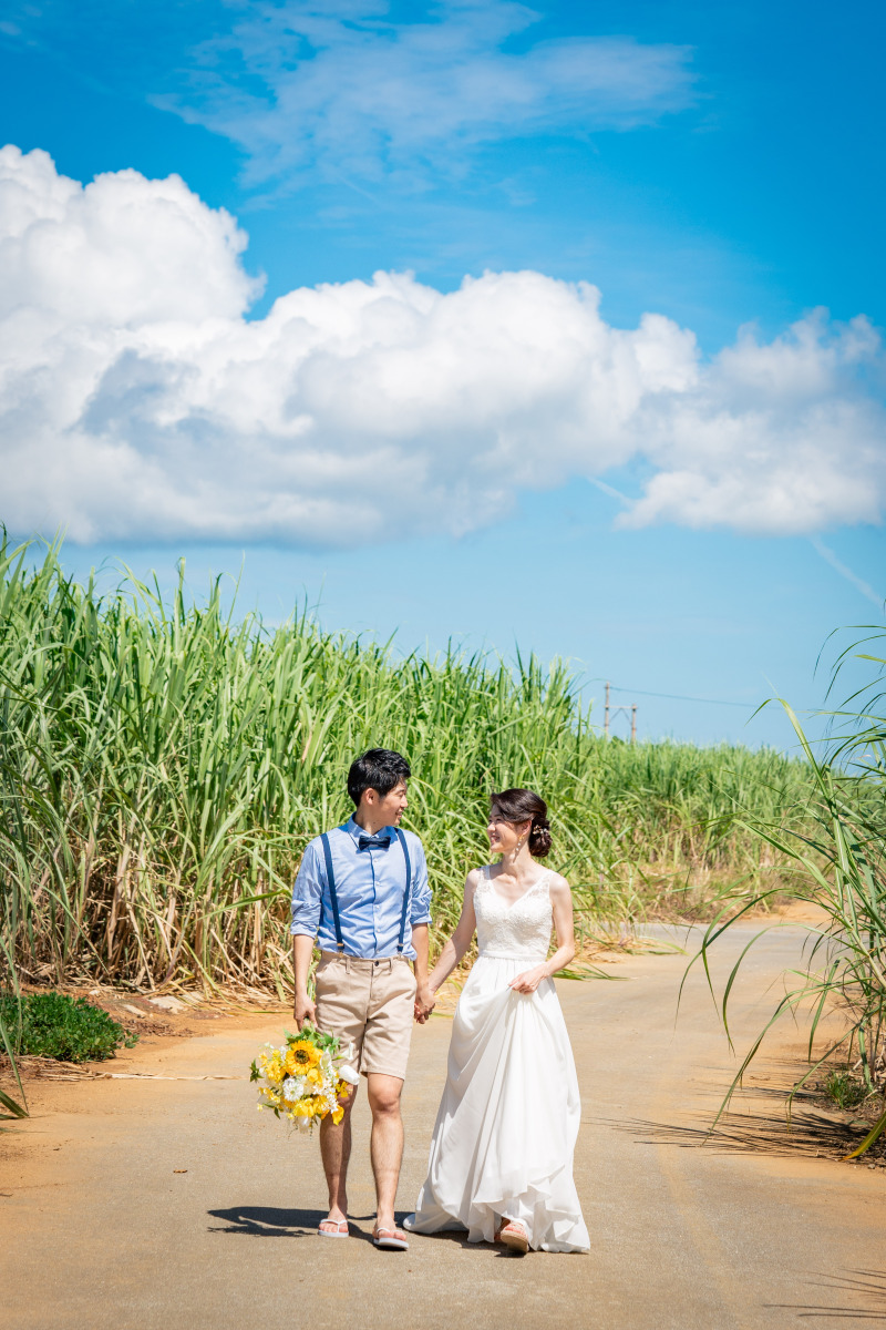 サトウキビ畑で