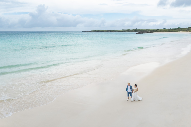 ドローンフォト!