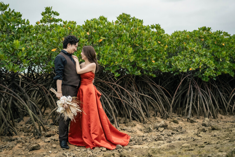 マングローブ林