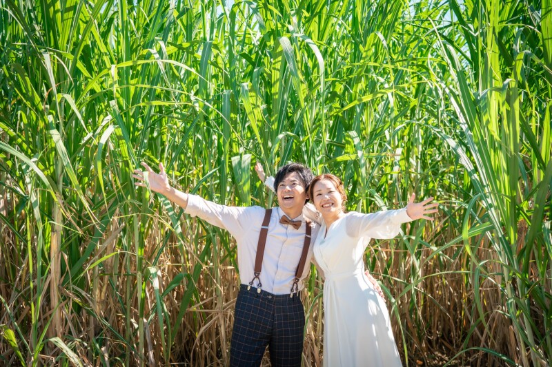 サトウキビ畑で1枚