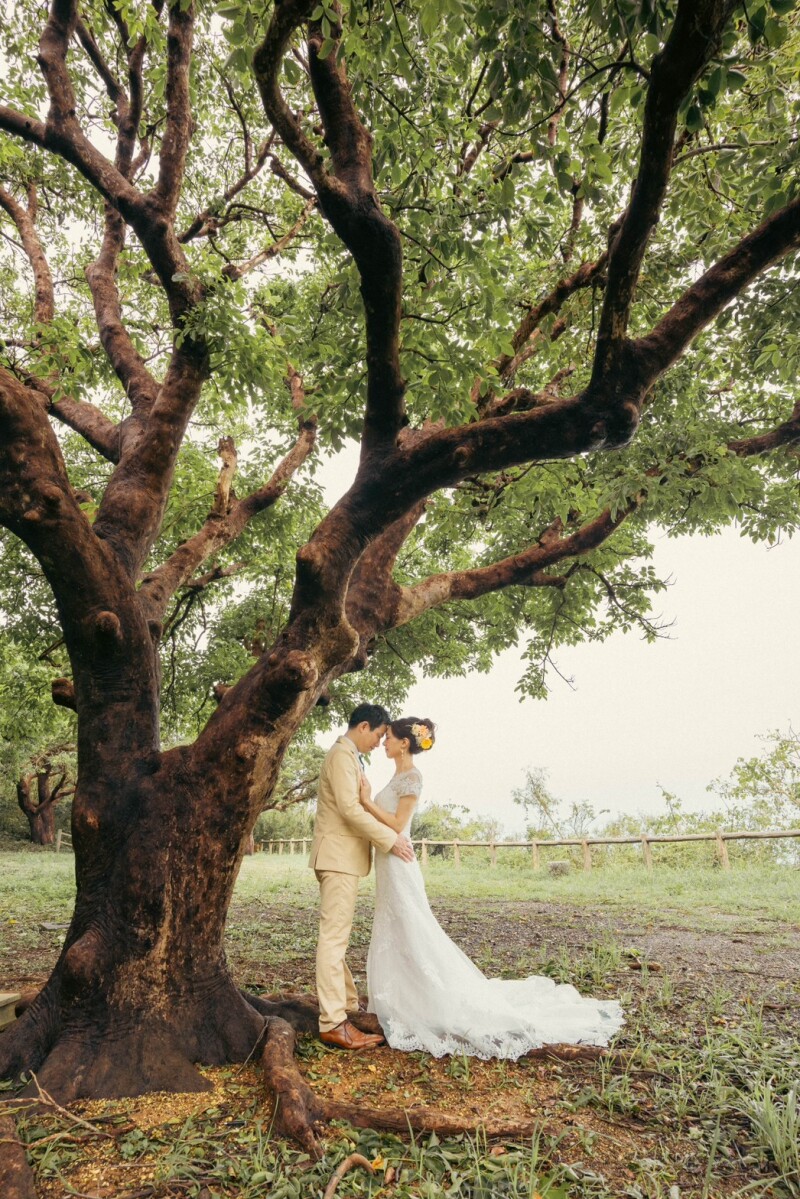 大きな木の下で!落ち着いた雰囲気のお二人