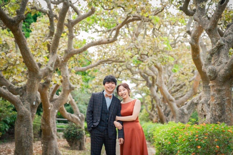 でいごの木の下で