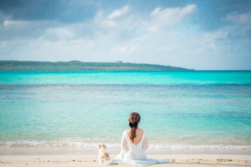 宮古島の海と素敵なバックショット