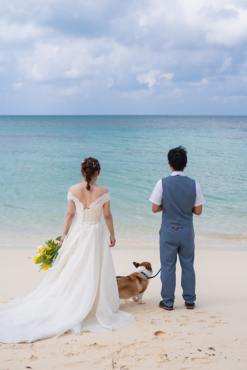 哀愁漂ういい写真