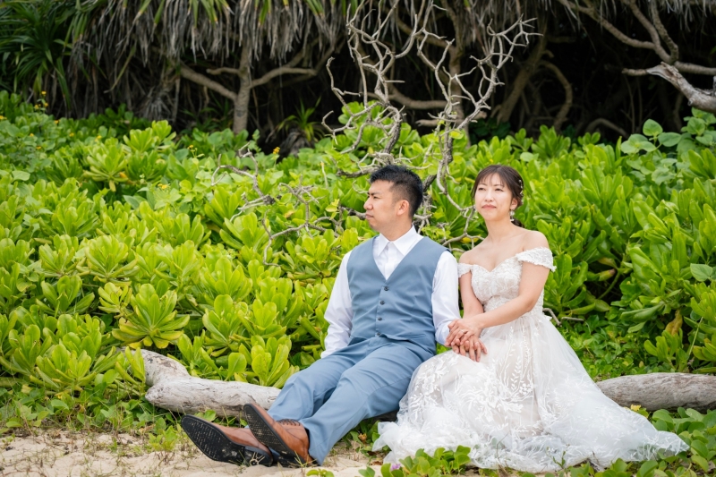 流木に座って♪