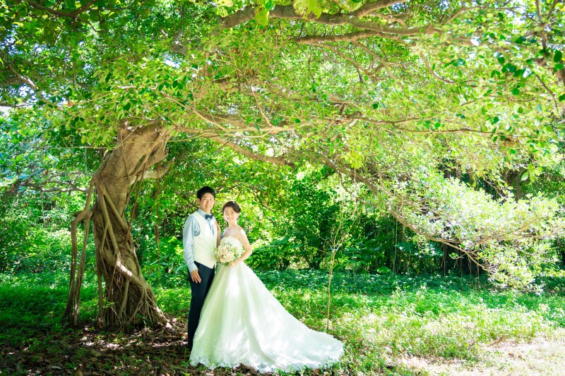 ガジュマルの木の下で