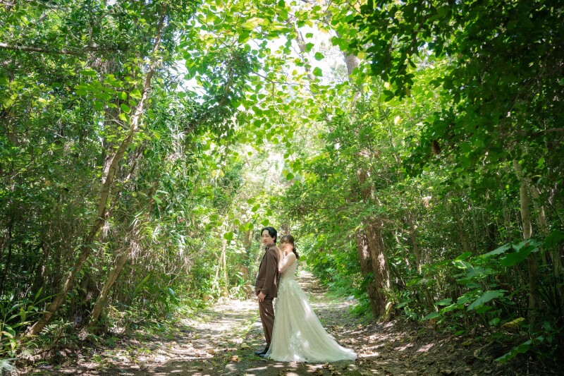 グリーン撮影は!