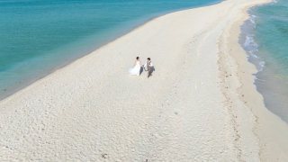 ユニの浜プラン＋タコ公園