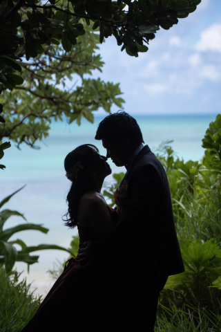 HIRARI_ピックアップ