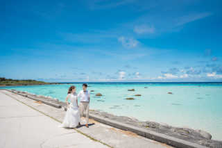 HIRARI_ピックアップ