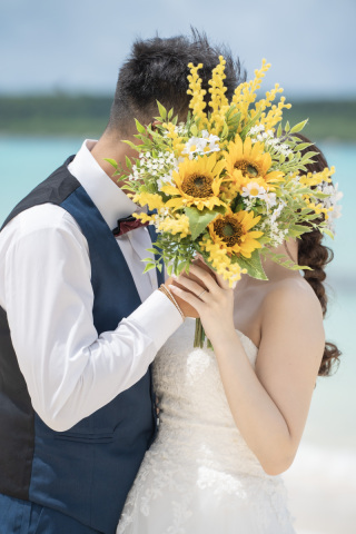 HIRARI_ピックアップ