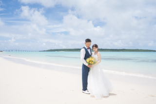 HIRARI_ピックアップ