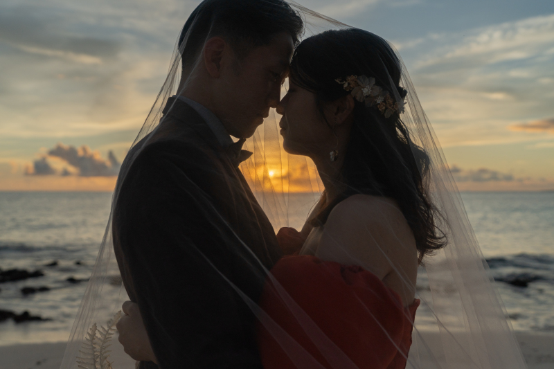 HIRARI_ピックアップ