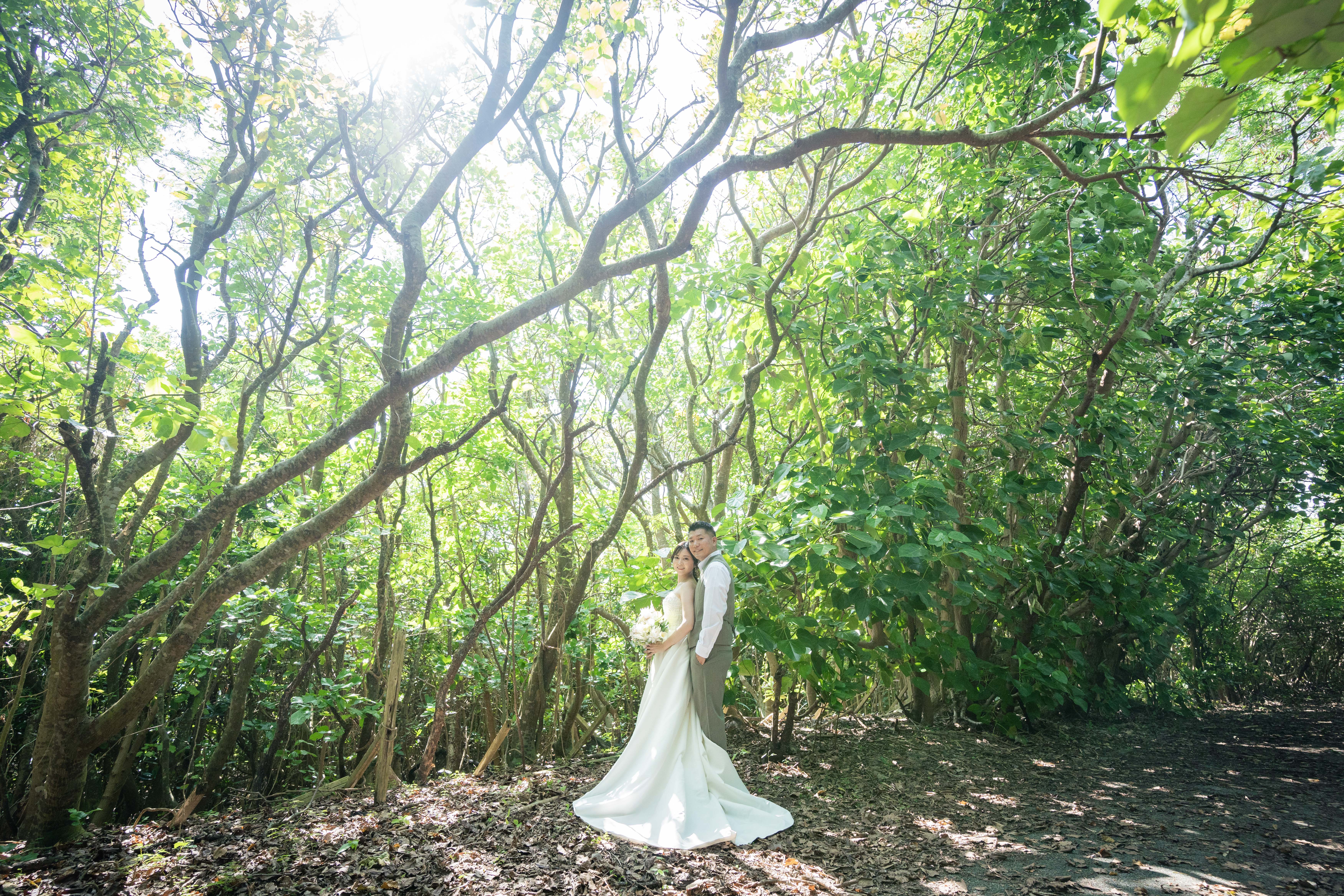 20以上ある撮影シーン