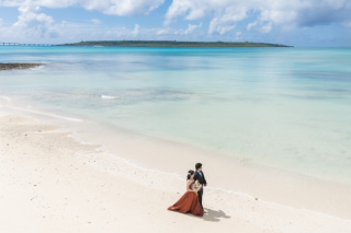 HIRARI_ピックアップ