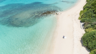 HIRARI_ピックアップ