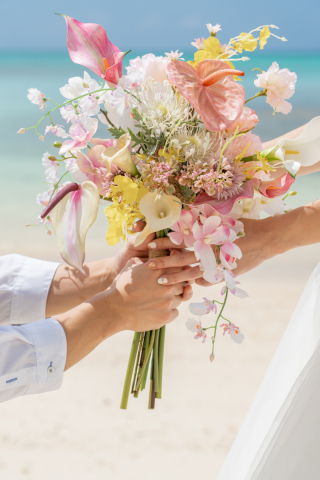 HIRARI_ピックアップ