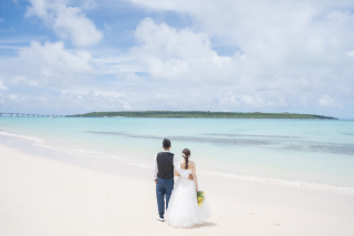 HIRARI_ピックアップ