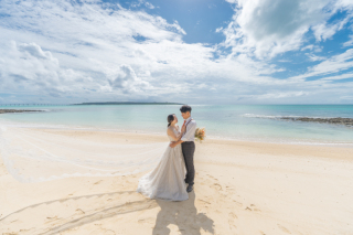 HIRARI_ピックアップ