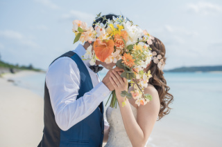 HIRARI_ピックアップ