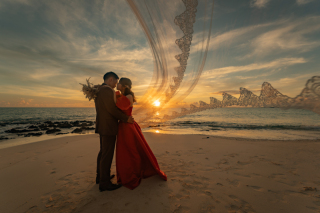 HIRARI_ピックアップ