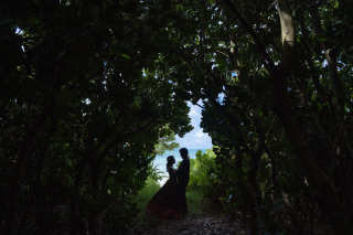 HIRARI_ピックアップ