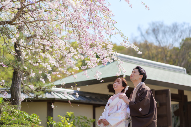 桜と撮る大仙公園1点ロケーションプラン