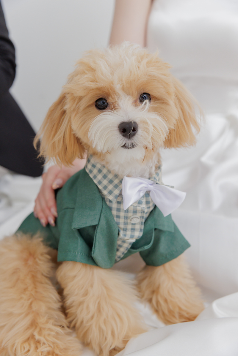 ソロでも可愛く⭐︎