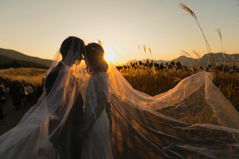 ベールに包まれて