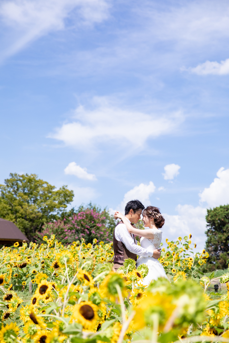 ひまわりに囲まれて♪