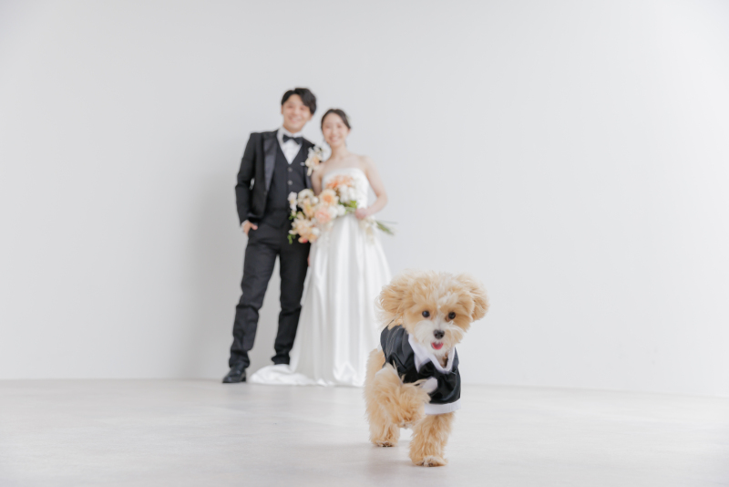 わんちゃんメインで♡