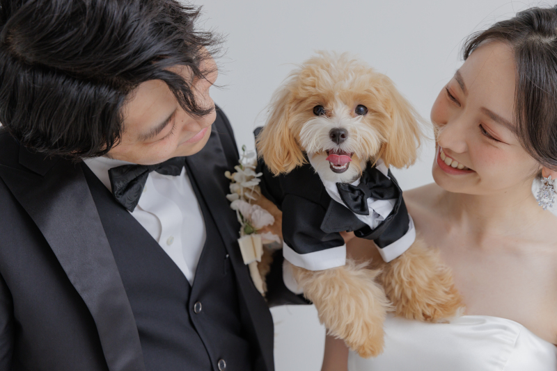 studio Lux(スタジオルクス)_ペットと一緒に撮影できる