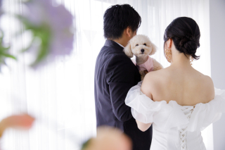 studio Lux(スタジオルクス)