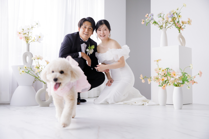大切なペットと撮影できるプランが登場！