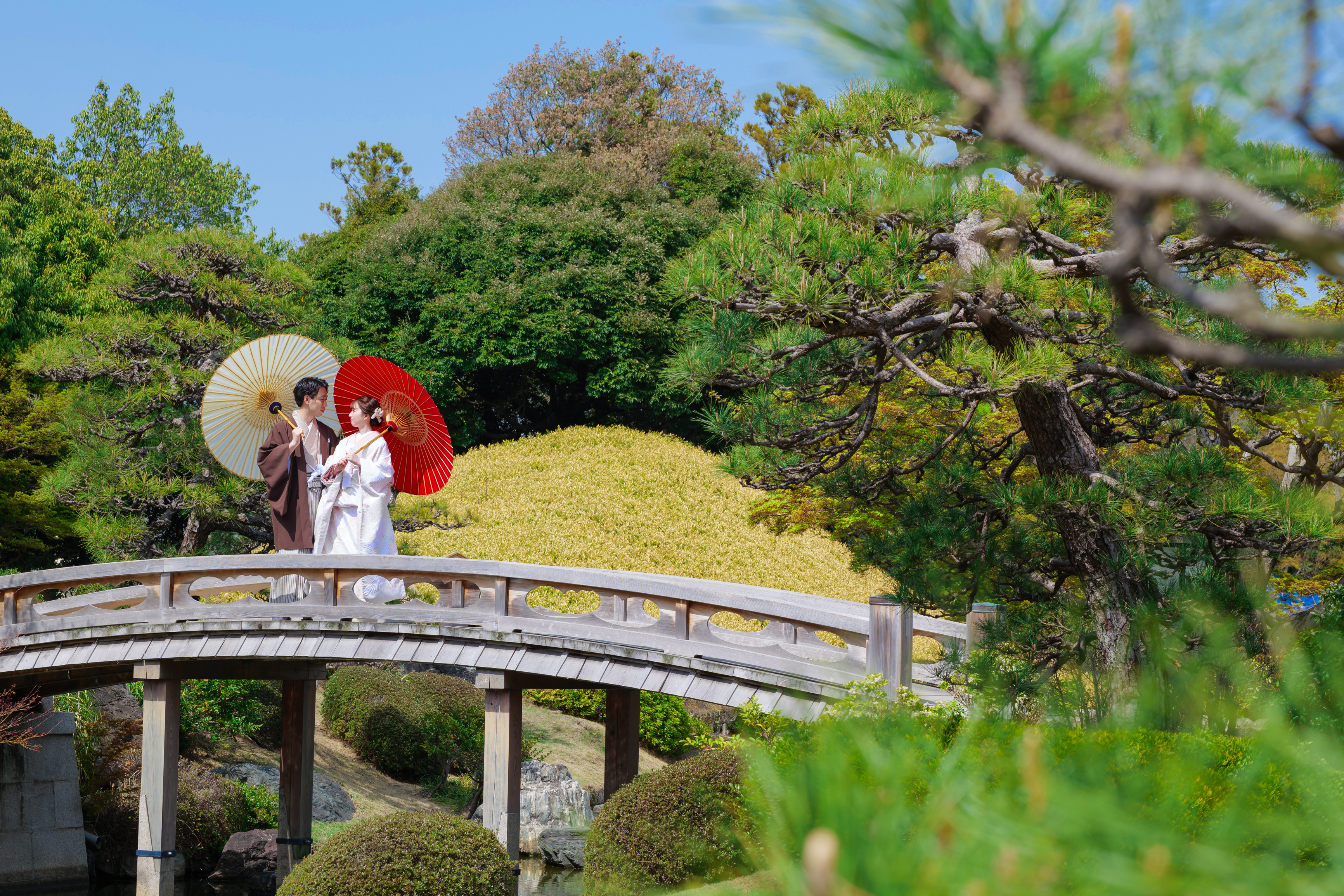 Point1 多彩な撮影シーン