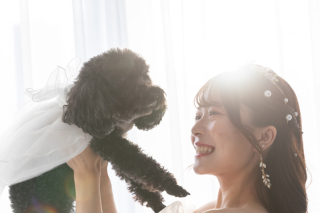 studio Lux(スタジオルクス)_ペット撮影