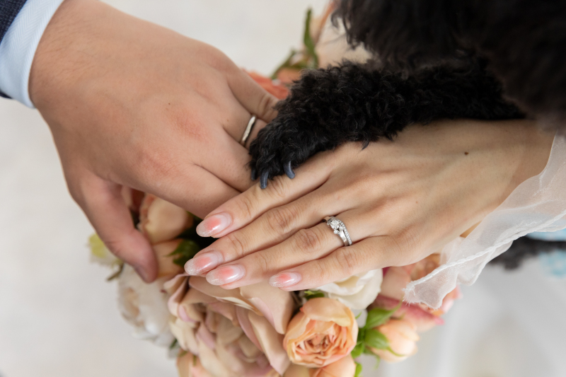 studio Lux(スタジオルクス)_ペットと一緒に撮影できる