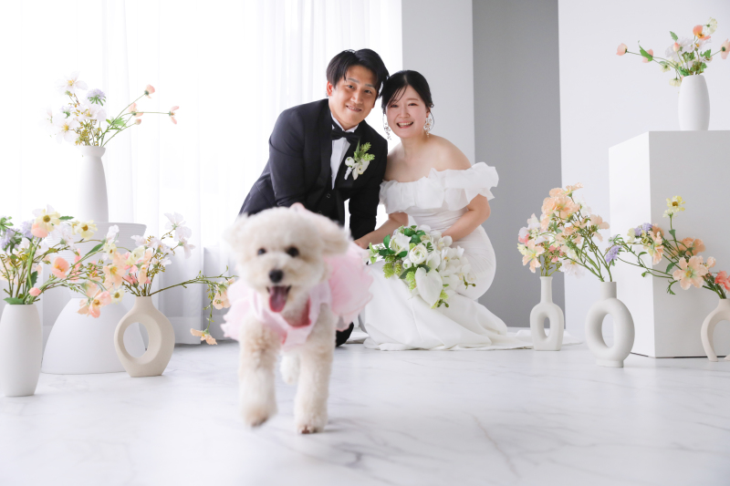 【スタジオ撮影】愛するペットと一緒に⭐︎わんちゃんもねこちゃんも◎お二人の大切な家族と叶える洋装スタジオフォト♪