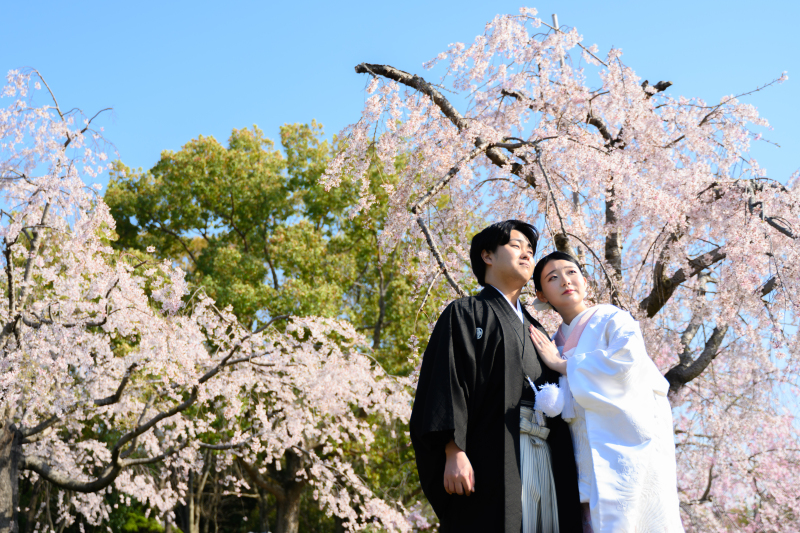 【ロケーション撮影】大仙公園ロケーション☆風情溢れる日本庭園で和装撮影！桜ロケも◎☆和装1着ロケーションプラン145,000円