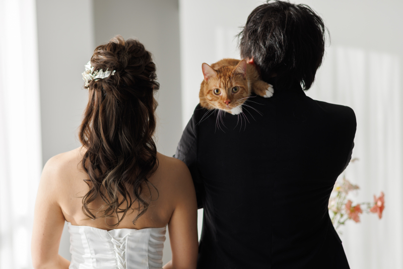 【スタジオ撮影】愛するペットと一緒に⭐︎わんちゃんもねこちゃんも◎お二人の大切な家族と叶える洋装スタジオフォト♪