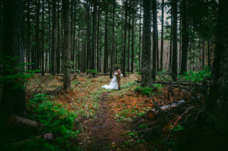 2024年シーズンの撮影