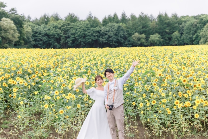 夏の限定のひまわり畑も!