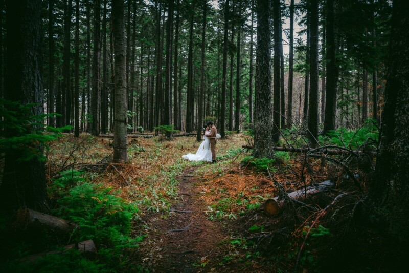 <ムービー撮影>北海道の大自然でオープニングムービー撮影プラン ドローン撮影付き