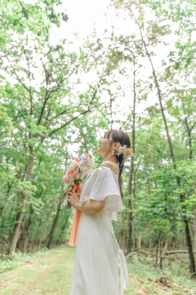 スタジオ・ロケーションセットプラン データ150カット