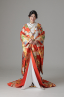 金雲取文様 桜 鶴 青海波/レッド