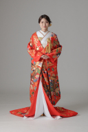 金松 蝶 葉/レッド