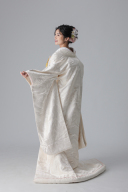 ピンクライン菖蒲　胡蝶蘭 蝶/アイボリー